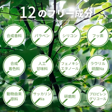 天然由来成分だけで作りました。