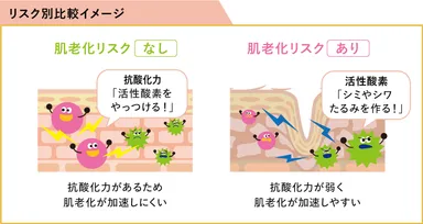 肌老化リスクのリスク別比較イメージ