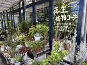 再生植物コーナー