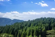 美しい日本の森林を守る全国森林組合連合会