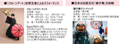 img_364533_4.png