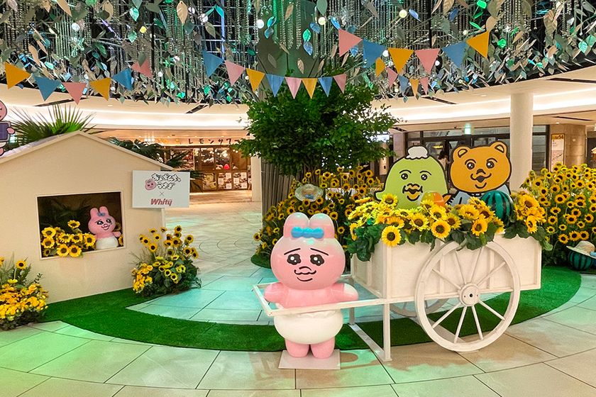 〜「おぱんちゅうさぎ」の名シーンを再現した、
ひまわりいっぱいの空間～
第一弾
「おぱんちゅうさぎとひまわり畑～夏の思い出～」
の花装飾の施工を日比谷花壇が担当しました。