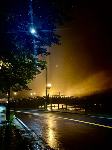 暗い日光の夜(1)