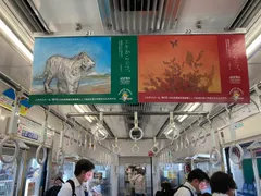 東急池上線車内中づりポスター掲出