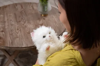 あまえんぼう子ねこちゃん11