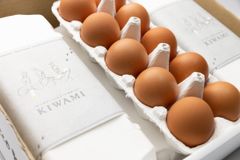 株式会社のだ初