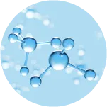 成分2：リピジュア