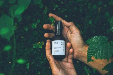 8月10日発売の『蚊帳』