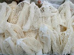 img_365671_2.jpg