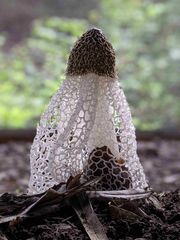 img_365671_4.jpg