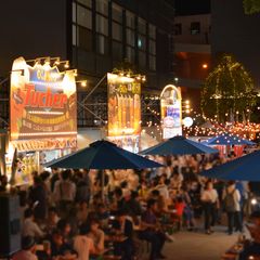 img_365685_6.jpg