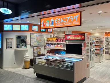 北海道どさんこプラザ