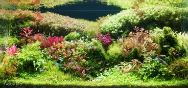 開発中の映像スクリーンショット(1/4)