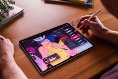 次世代ペイントと合成エンジン(クレジット：Procreate, Weronika Marianna のアニメーション作品)