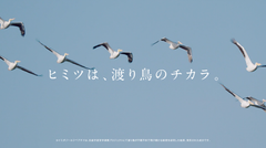 img_366180_5.png