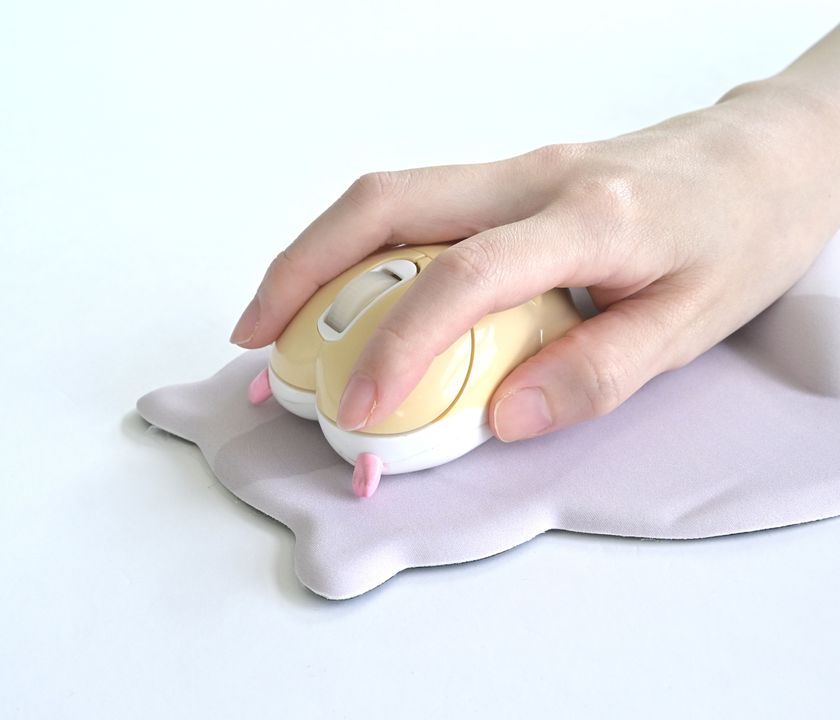 マウスを訓練して一緒に遊べるようにする方法