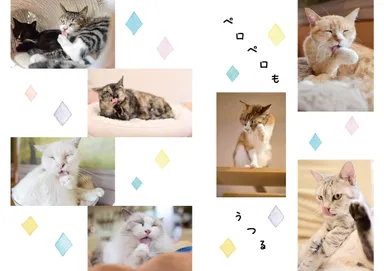 写真集イメージ4