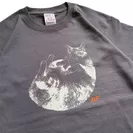 デザイナーによる猫イラストTシャツ