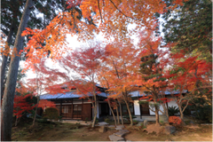 img_366544_2.png