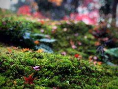 img_366544_3.jpg