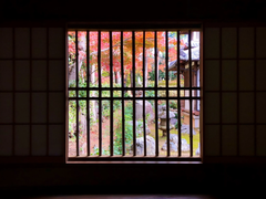 img_366544_4.png