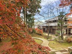 img_366544_6.jpg