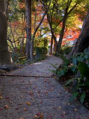 img_366544_7.jpg