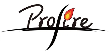 株式会社プロファイア