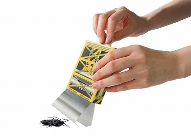 ゴキクレーン　メイン