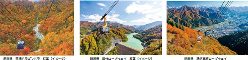 2023年秋の国内旅行動向
今年は本格的な大自然志向
「絵葉書のような紅葉に出会う」奥越後が人気
