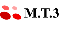 株式会社エム・ティー・スリー