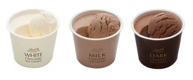 リンツ・チョコレートアイスクリーム