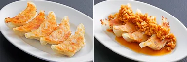 ヴィーガン焼き餃子／ヴィーガン生姜餃子