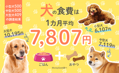 犬の食費は1カ月平均7,807円