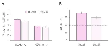 A. 赤ちゃん顔に対する「かわいさ」の評定値は、通常の向き(正立顔)でも、上下逆さ(倒立顔)でも差がなかった。　B. 2つの顔からよりかわいい高い顔を選択する割合は、顔の向きによらず、偶然よりも高かった。しかし、倒立顔ではやや成績が下がった。エラーバーは95％信頼区間を示す。