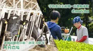 京都の茶農家d:matchaと北海道の酪農家町村農場
