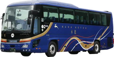 四神シリーズ「青龍」