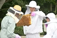 みつばちプロジェクトが八王子キャンパスで養蜂