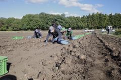 img_368762_3.jpg