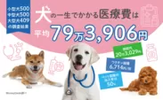 犬の一生でかかる医療費は平均79万3,906円