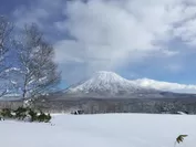 アンダル コレクション ニセコから望む冬の羊蹄山