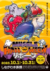 キービジュアル
