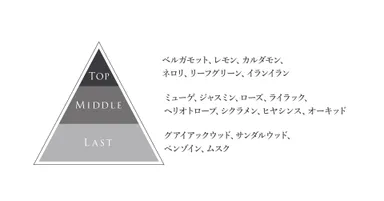 「早熟の君」の香り