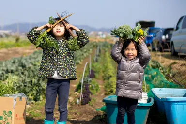 ソレイユの丘_ソレイユ秋野菜 収穫体験！_1_日比谷花壇