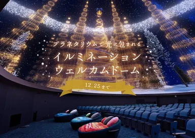 イルミネーション_横浜