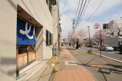 桜の季節　社屋前