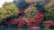 カヌーで日光国立公園中禅寺湖水上から見る紅葉2