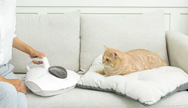 レイコップPRO2 ペットを飼っている方におすすめ