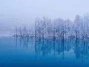 青い池(冬)