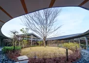 九州由来の植生を配置したスーパー楕円の中庭